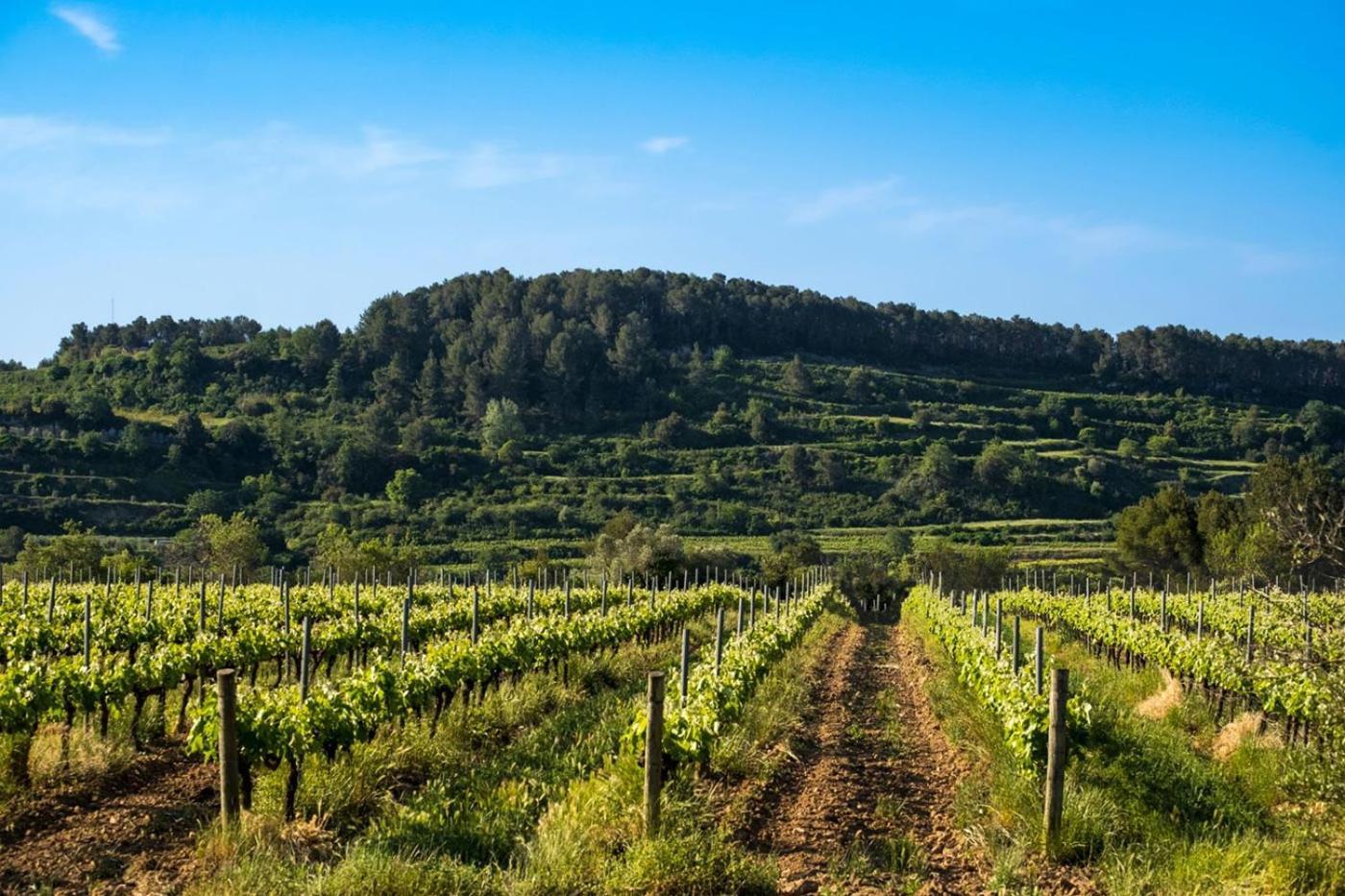 Hotel Air Penedes Vilafranca del Penedès Eksteriør billede